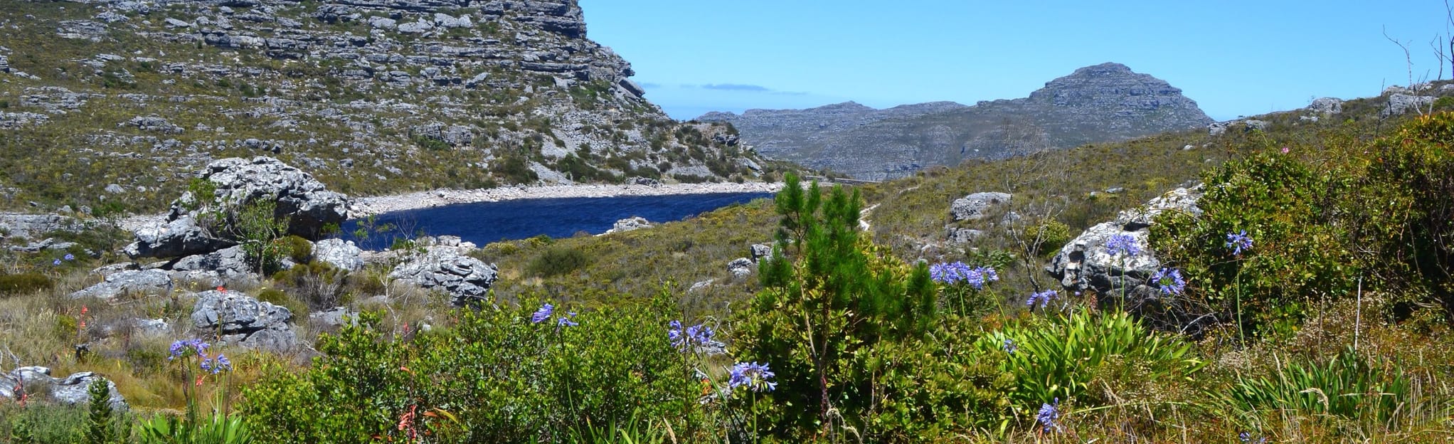 Constantia Nek via Woodhead Dam and Disa Western Cape, South