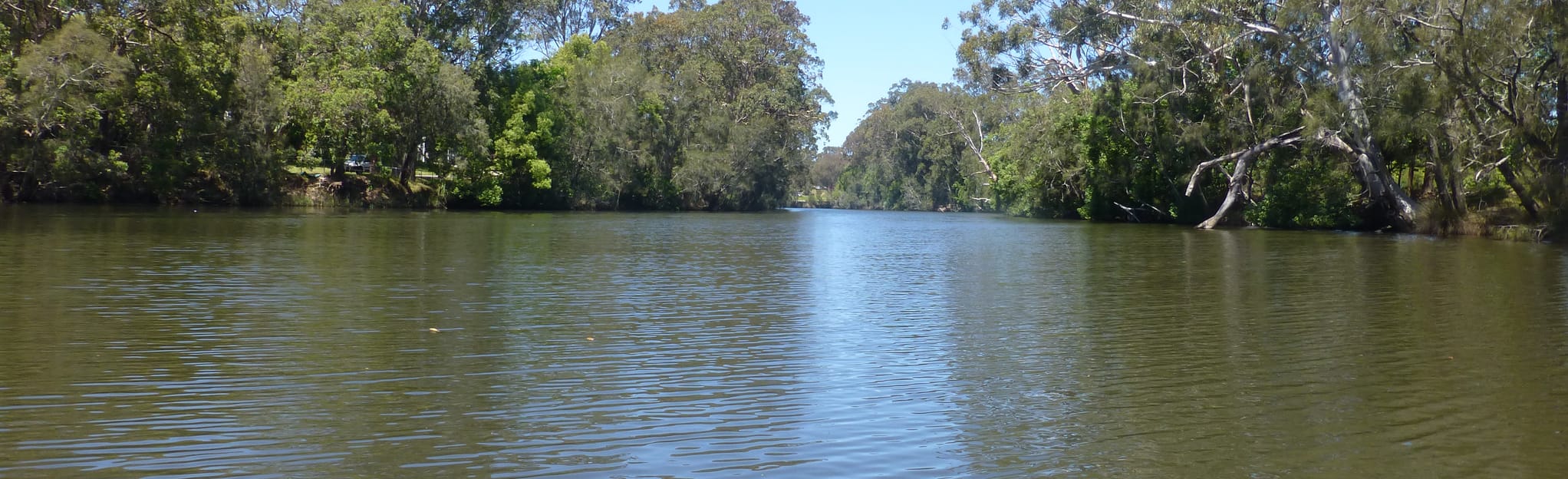 Wyong River Kayak Route, New South Wales, Australia - 3 Reviews, Map ...