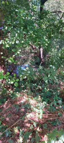 Die einstigen Kupfermühlen bei Stolberg