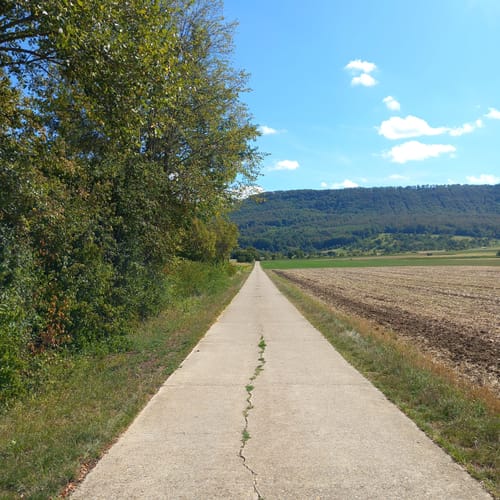 Über Bissingen und Egelsberg