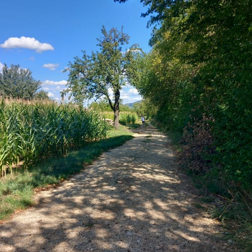 Über Bissingen und Egelsberg