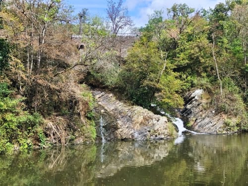 Pyrmonter Felsensteig (Traumpfad)