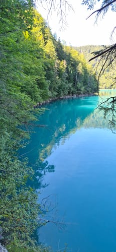 Alpsee Rundweg