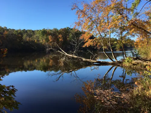 anne springs close greenway bike trails