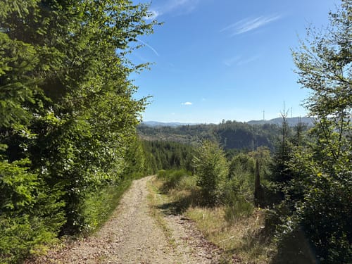 Ilsetalpfad