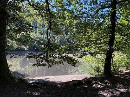 Ilsetalpfad