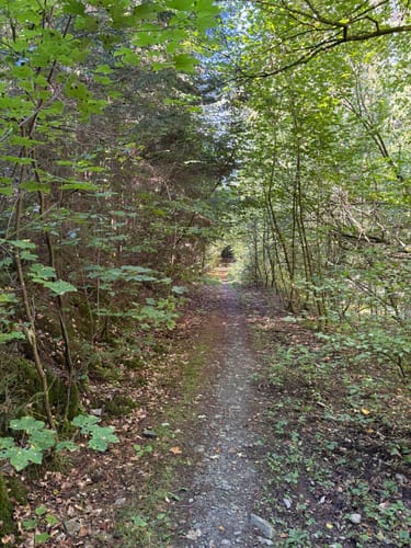Ilsetalpfad