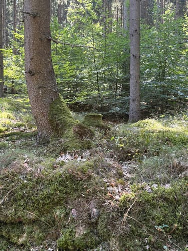 Auf der Bausch zum Kappellchen