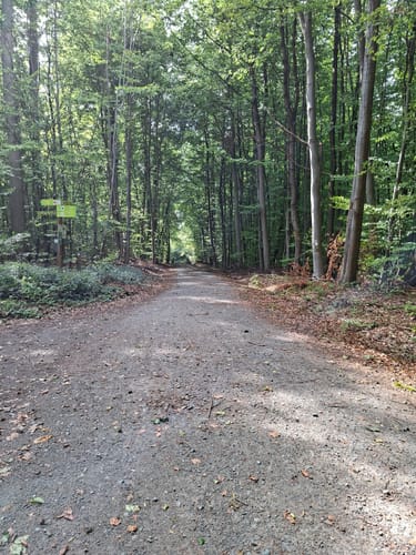 Rundwanderweg Groß-Bieberau Heidekopf 5: Tal-Weg