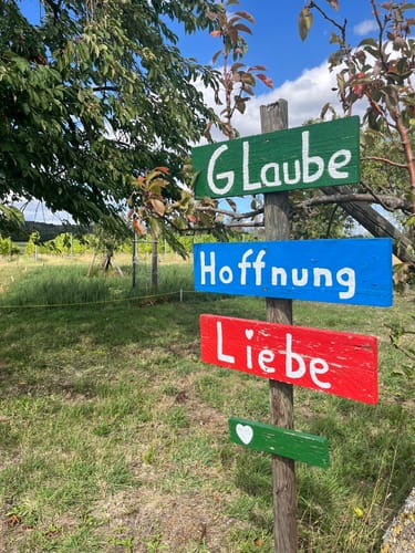 Moseltraum (Traumpfädchen)