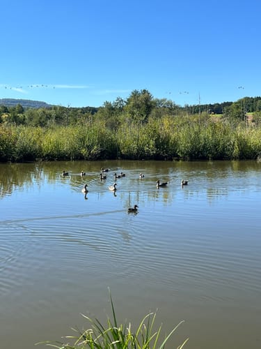 Rund um den Bucher Stausee