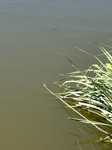 Rund um den Bucher Stausee