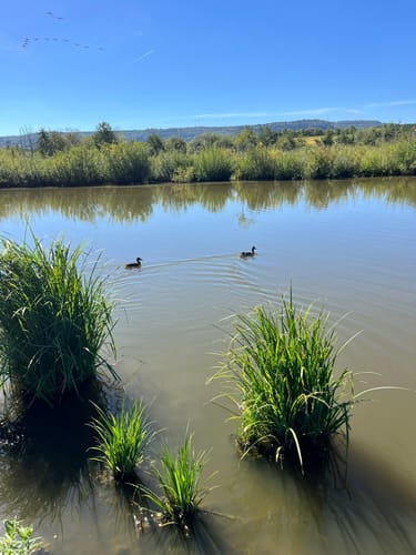 Rund um den Bucher Stausee