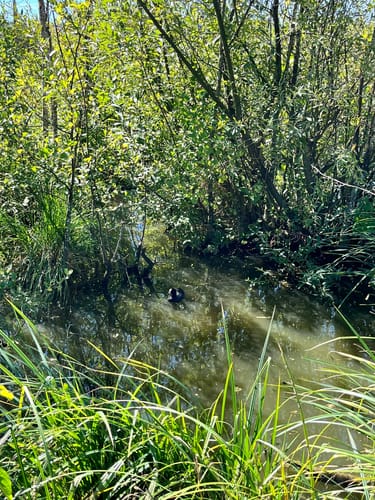 Rund um den Bucher Stausee