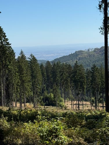 Auf den Großen Feldberg