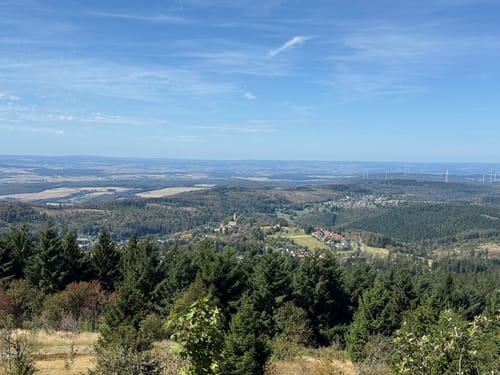 Auf den Großen Feldberg