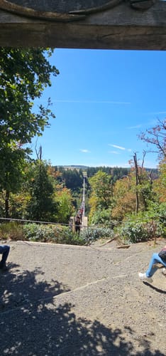 Geierlayschleife (Premiumwanderweg)