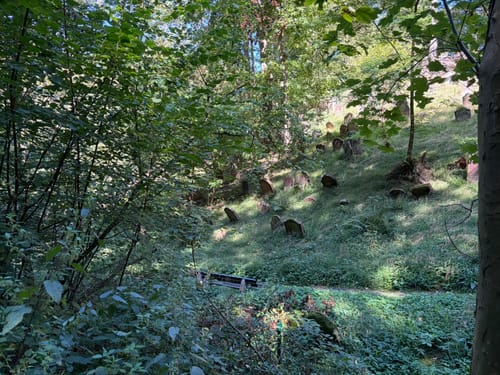 Oberer Mühlweg und Teufelslochweg