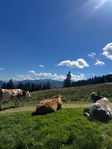 Vom Schliersee zum Tegernsee über die Gindelalm