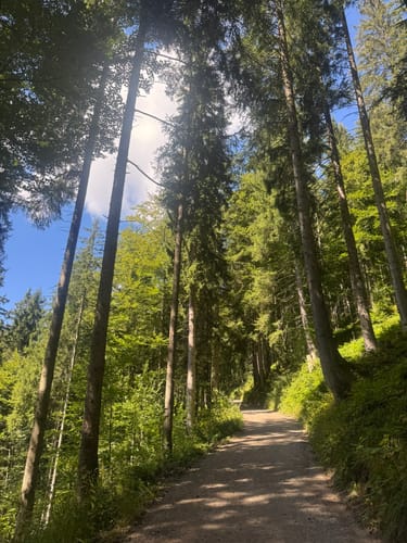 Vom Schliersee zum Tegernsee über die Gindelalm
