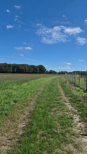 Haller Rundweg A12