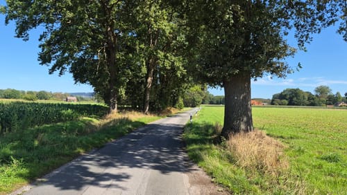 Haller Rundweg A12