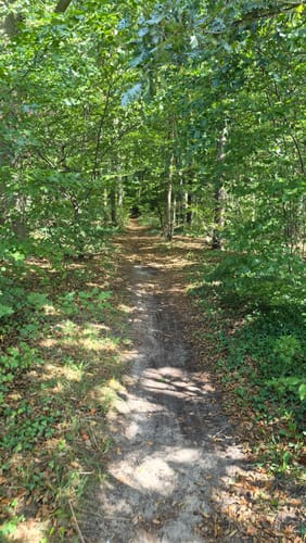 Haller Rundweg A12