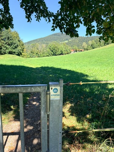 Kleine MTB-Runde Wörnsmühl