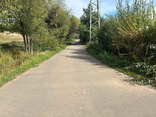 Rund um den Weilerbach