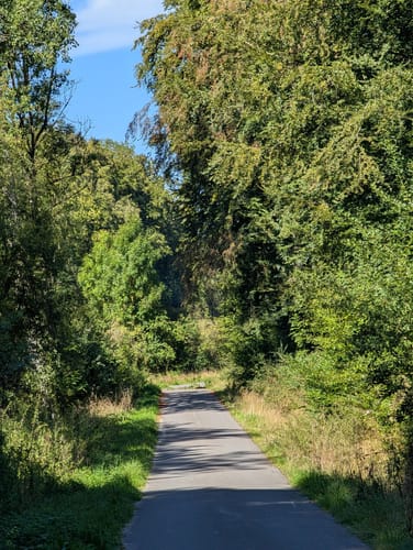 A2 (Dalheim)