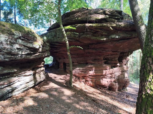 Dahner Felsenpfad (Premiumwanderweg)