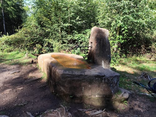 Dahner Felsenpfad (Premiumwanderweg)