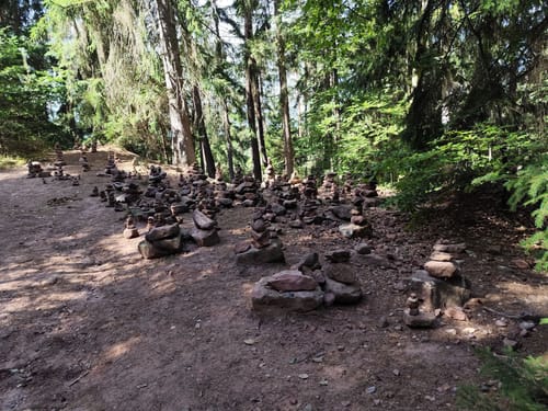 Dahner Felsenpfad (Premiumwanderweg)