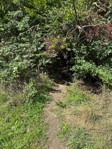 Auf Pfaden durch das Wambachtal