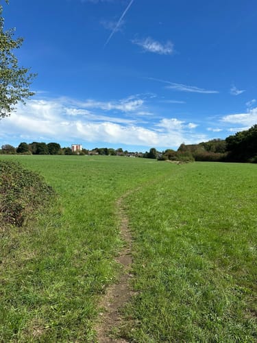 Auf Pfaden durch das Wambachtal