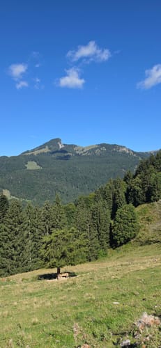 Zur Karspitze