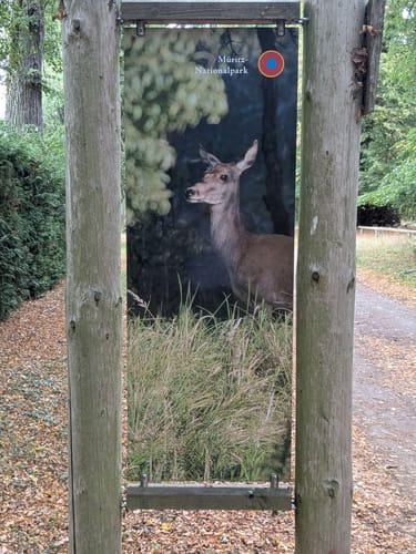 Müritz Westseite - Boek - Speck