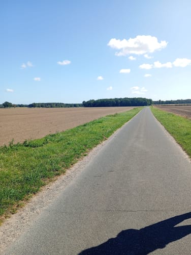 Cewe-Teich und Eisenzeithaus ab Burgdorf