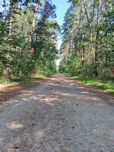 Cewe-Teich und Eisenzeithaus ab Burgdorf