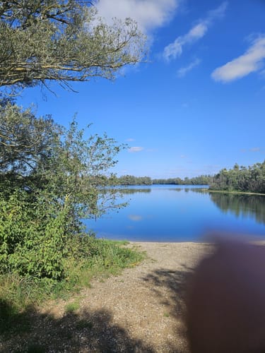 Leineaue zwischen Ruthe und Koldingen