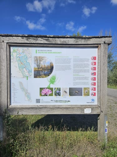 Leineaue zwischen Ruthe und Koldingen