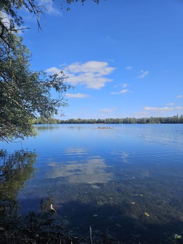 Leineaue zwischen Ruthe und Koldingen
