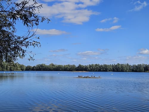 Leineaue zwischen Ruthe und Koldingen