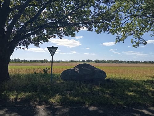 Cewe-Teich und Eisenzeithaus ab Burgdorf
