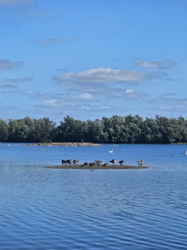 Leineaue zwischen Ruthe und Koldingen