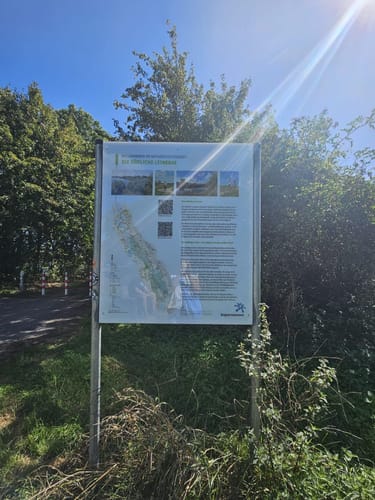 Leineaue zwischen Ruthe und Koldingen