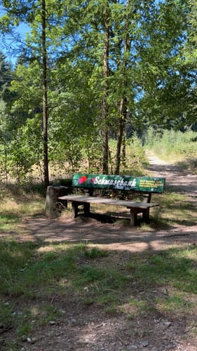 Rabensteiner Wald ab Grüna