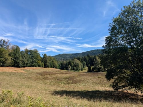 Großes Loch - Teufelsmühle - Vogelwiesen ab Rißwasen