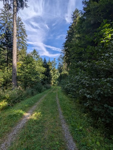 Großes Loch - Teufelsmühle - Vogelwiesen ab Rißwasen