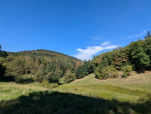 Großes Loch - Teufelsmühle - Vogelwiesen ab Rißwasen